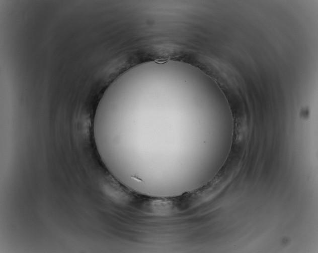 X0000100750279200807031343