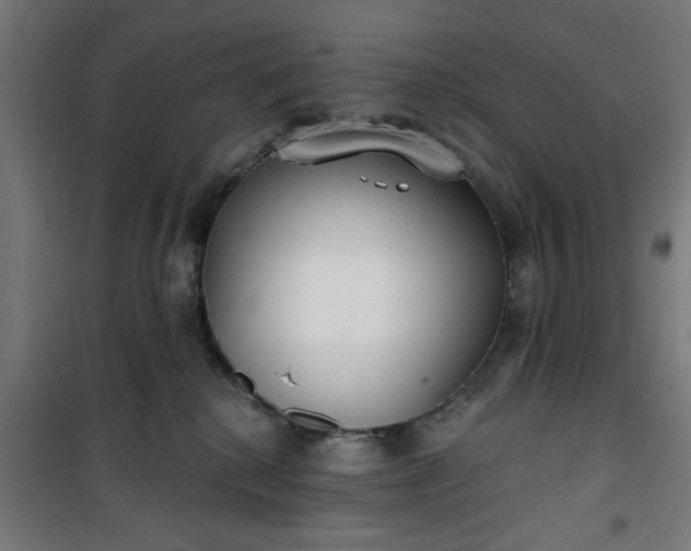 X0000100750280200807031343