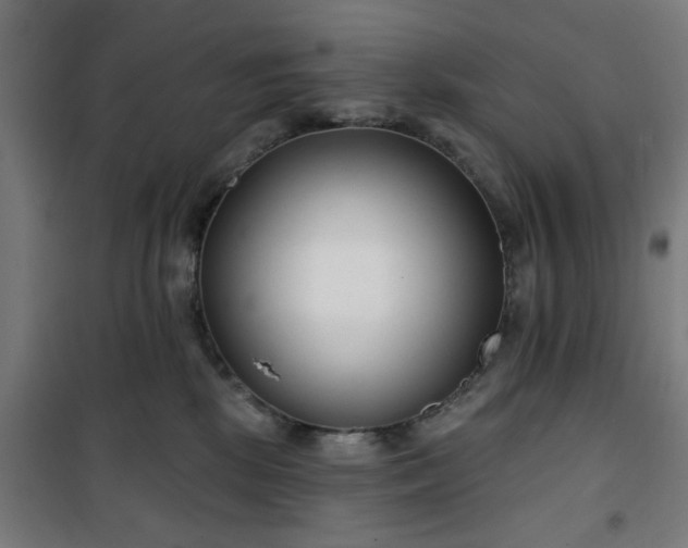 X0000100750281200807031343