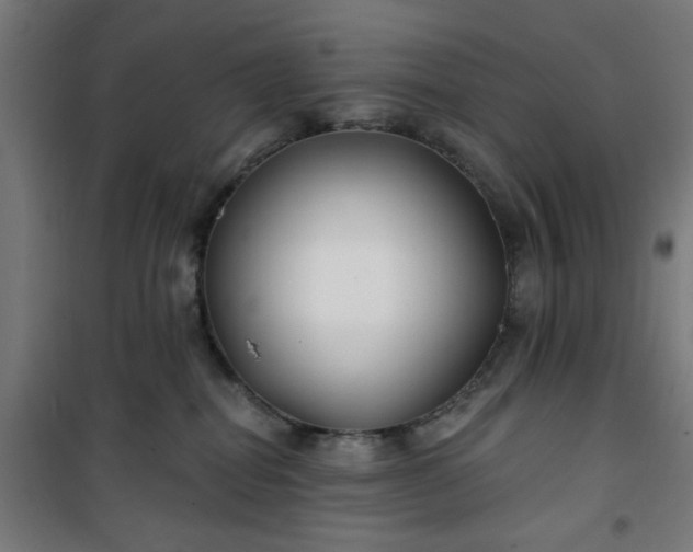 X0000100750282200807031343