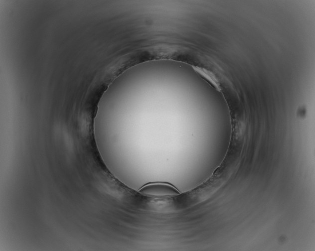 X0000100750283200807031343