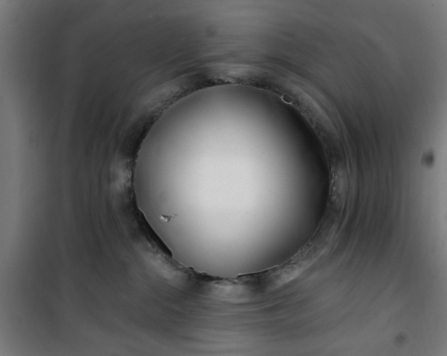 X0000100750284200807031343