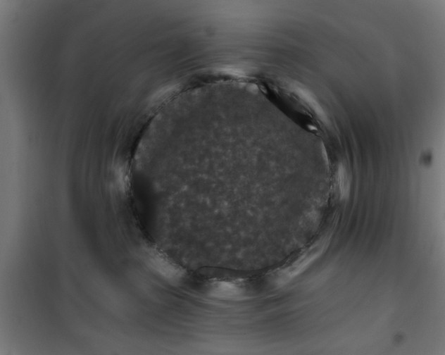 X0000100750285200807031343