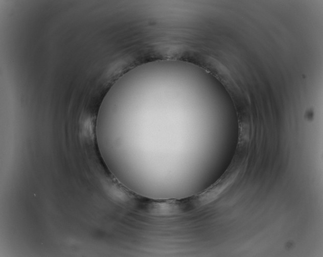 X0000100750286200807031343