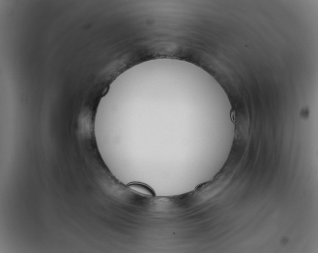 X0000100750287200807031343