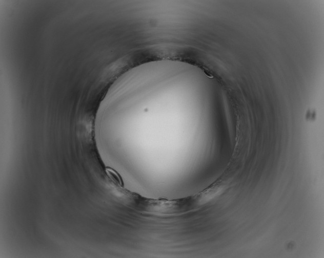 X0000100750288200807031343