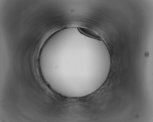 X0000100750289200807031342