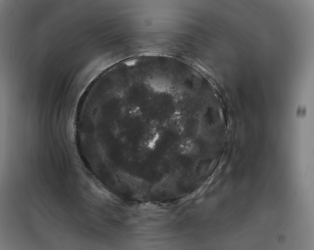 X0000100750290200807031342