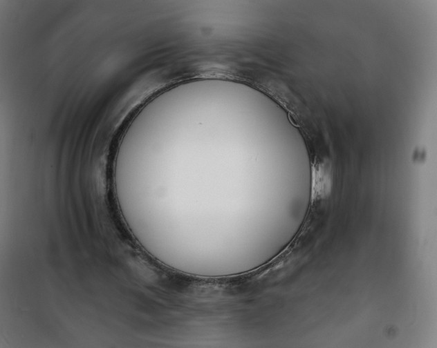 X0000100750291200807031342