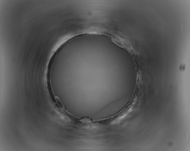 X0000100750292200807031342