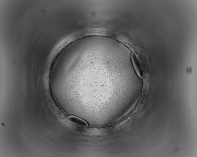 X0000100750293200807031342