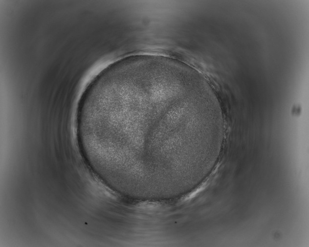 X0000100750294200807031342