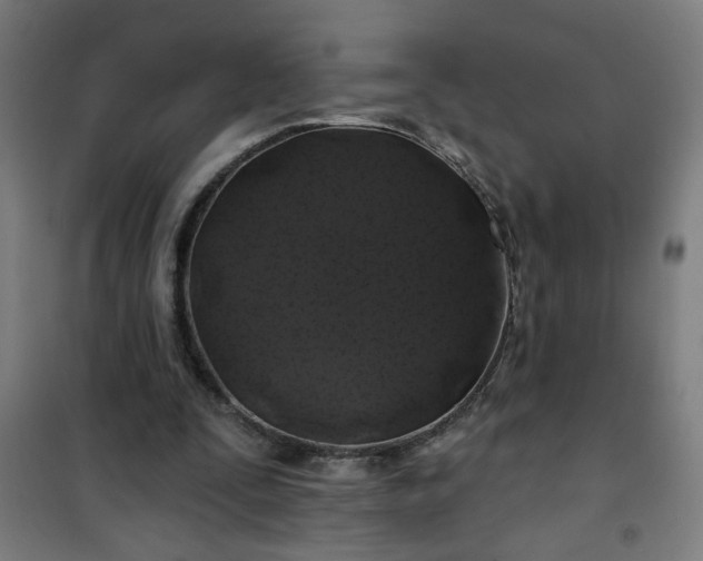 X0000100750295200807031342