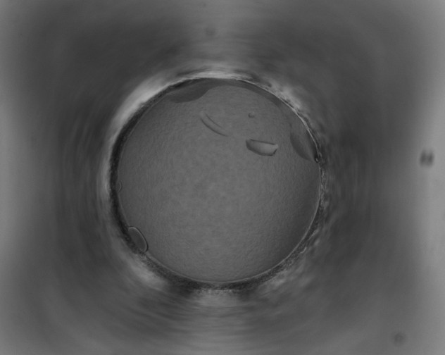 X0000100750296200807031342