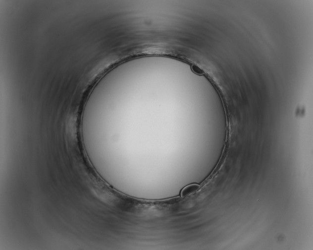 X0000100750297200807031342