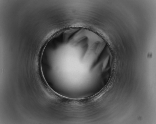 X0000100750298200807031342