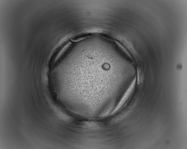 X0000100750300200807031342