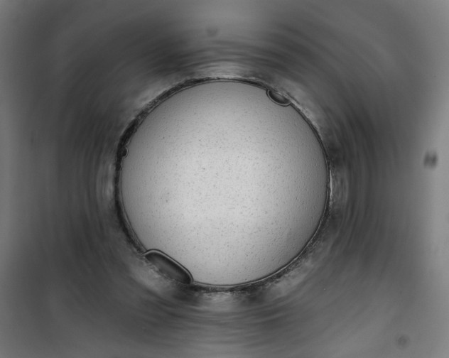 X0000100750301200807031342