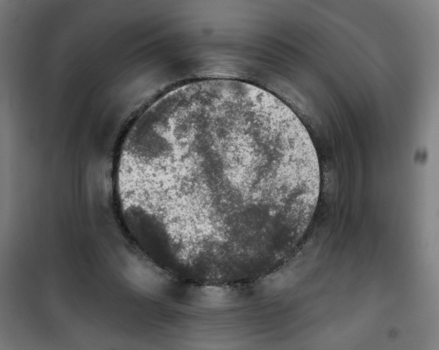 X0000100750302200807031342