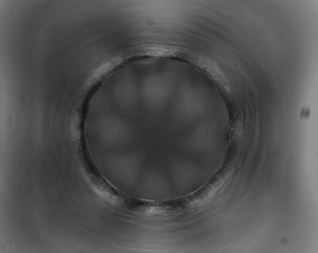 X0000100750303200807031342