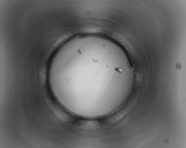 X0000100750304200807031342