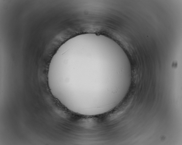 X0000100750307200807031342