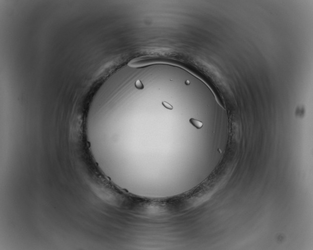 X0000100750308200807031342