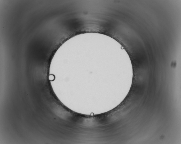 X0000100750309200807031342