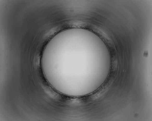 X0000100750310200807031342