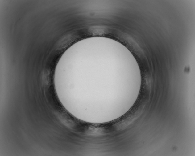 X0000100750311200807031342