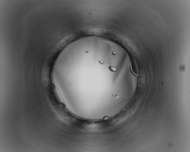 X0000100750312200807031342