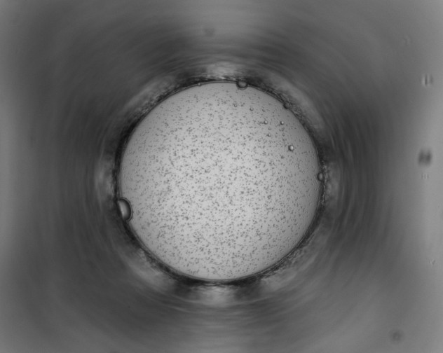 X0000100750313200807031342