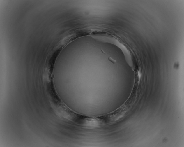 X0000100750316200807031342