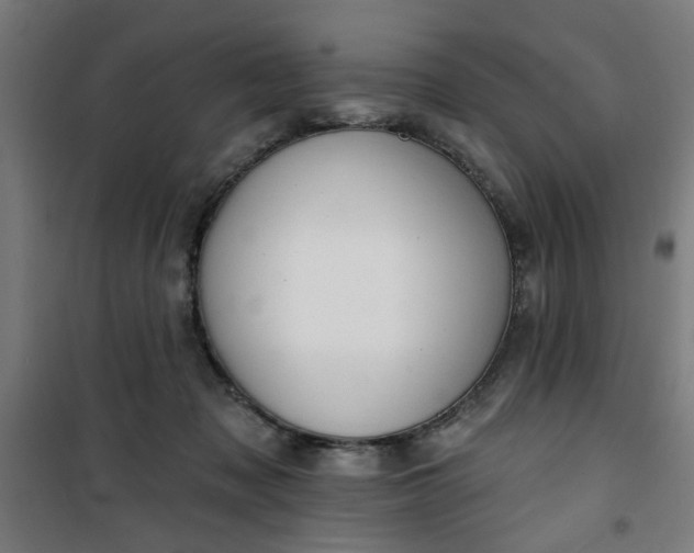 X0000100750317200807031342