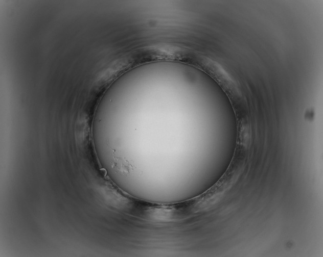 X0000100750318200807031342