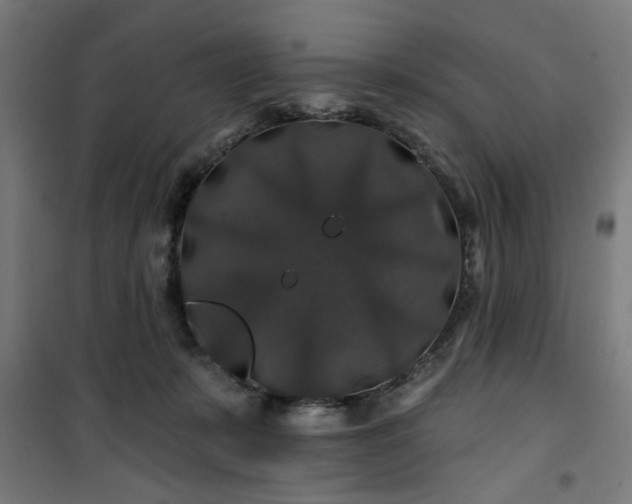 X0000100750319200807031342