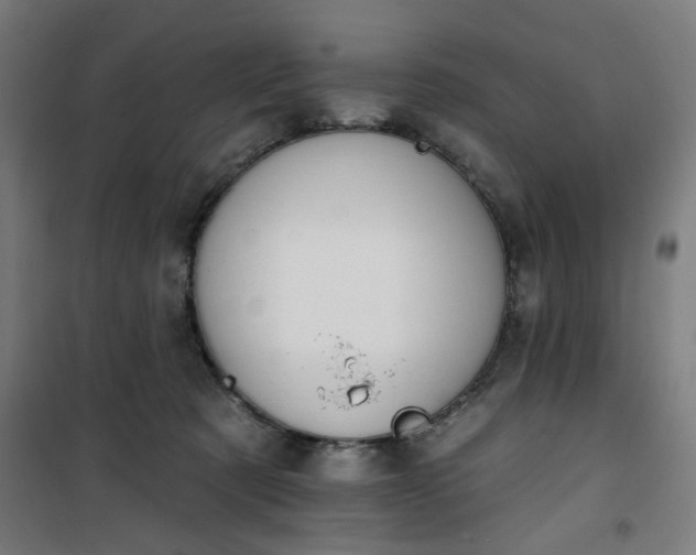 X0000100750321200807031342