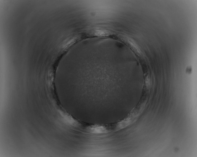 X0000100750322200807031342