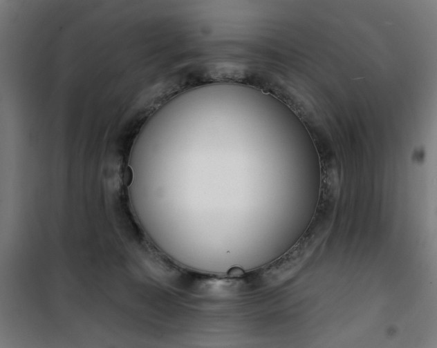 X0000100750323200807031342