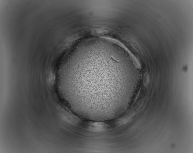 X0000100750324200807031342