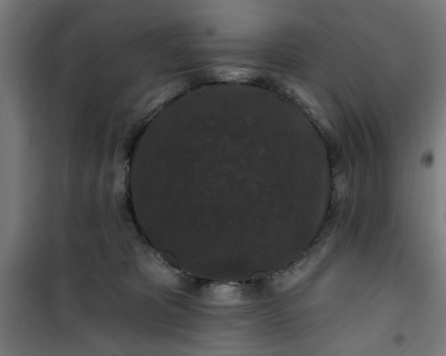 X0000100750325200807031341