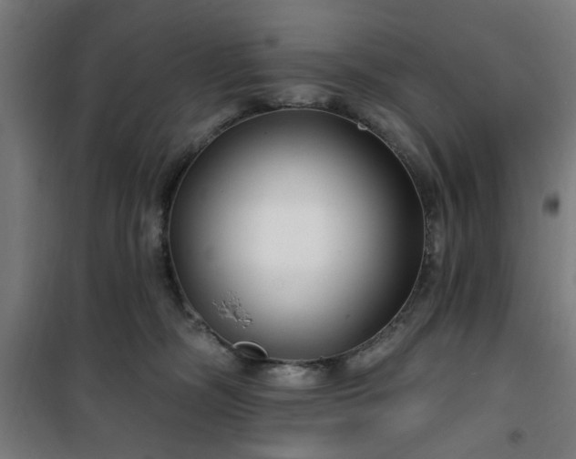 X0000100750326200807031341