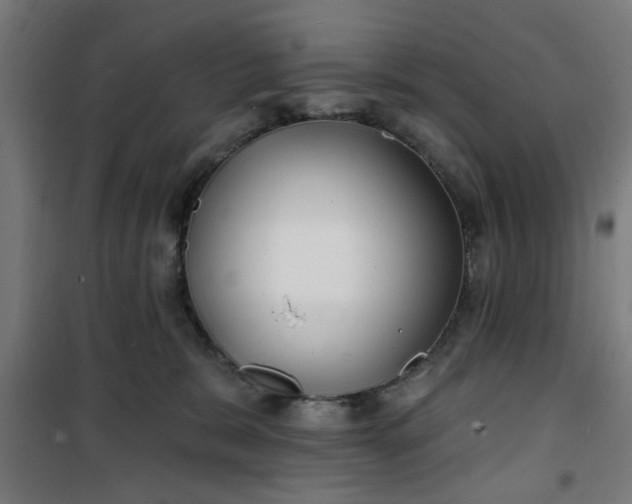 X0000100750327200807031341