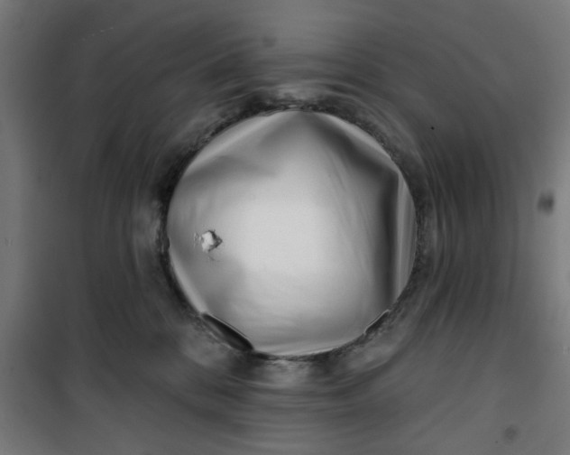 X0000100750328200807031341