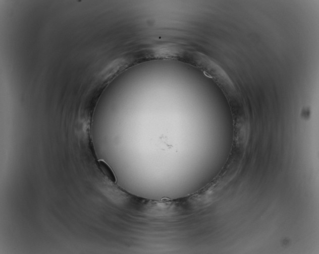 X0000100750329200807031341