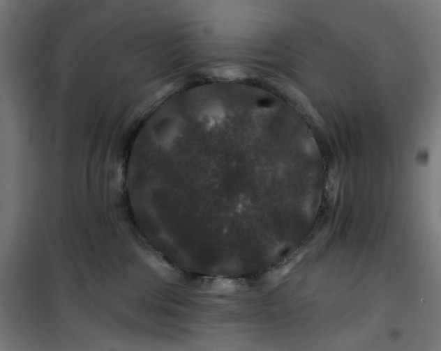 X0000100750330200807031341