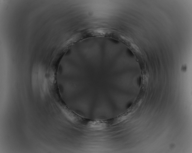 X0000100750331200807031341