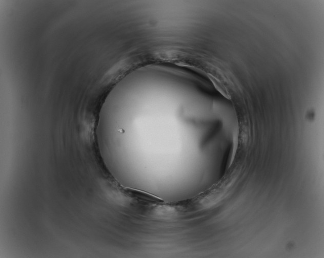 X0000100750332200807031341