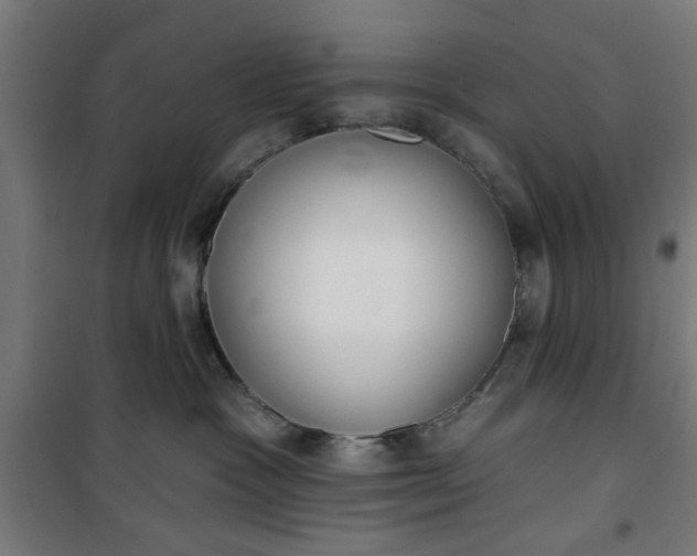 X0000100750333200807031341