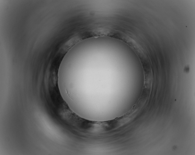 X0000100750334200807031341